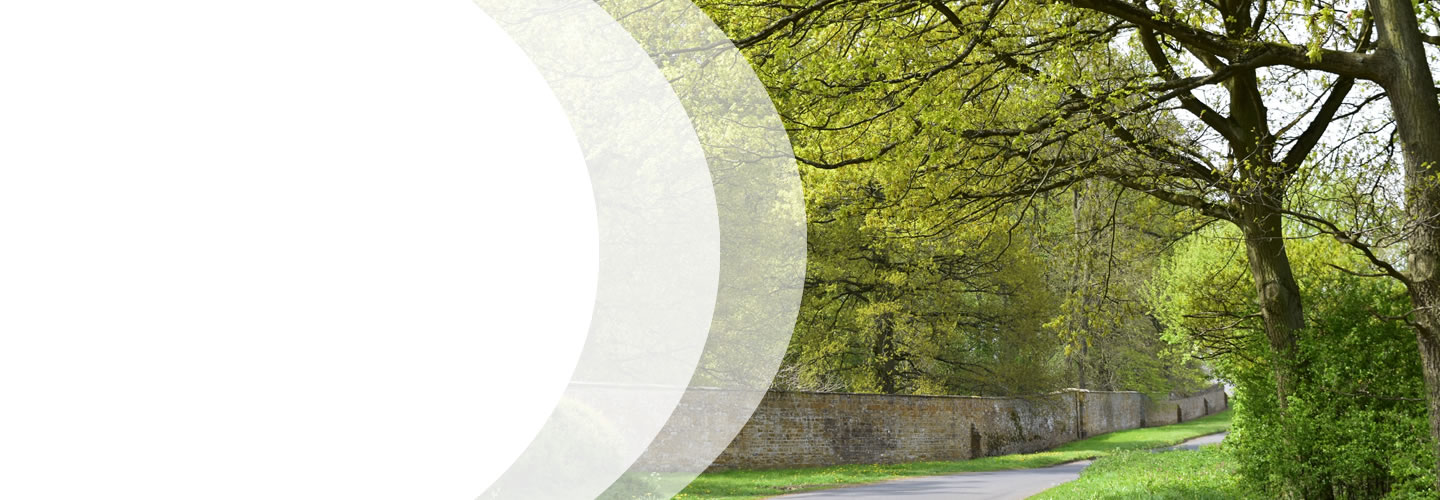Consultancy, Sales Resource and Tender Management